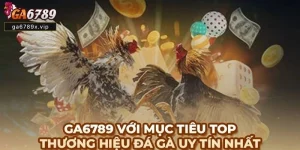 GA6789 có giấy phép không