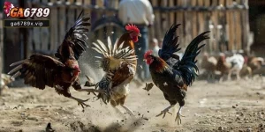 GA6789 Tặng Nạp Đầu