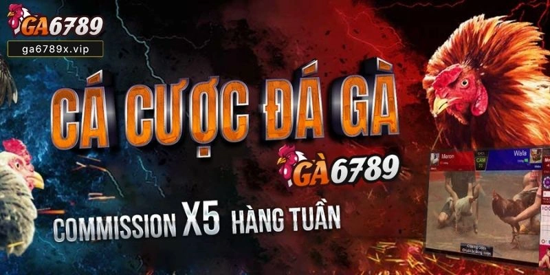 Phân Tích Từ Chuyên Gia Cá Cược Chơi GA6789 có an toàn không