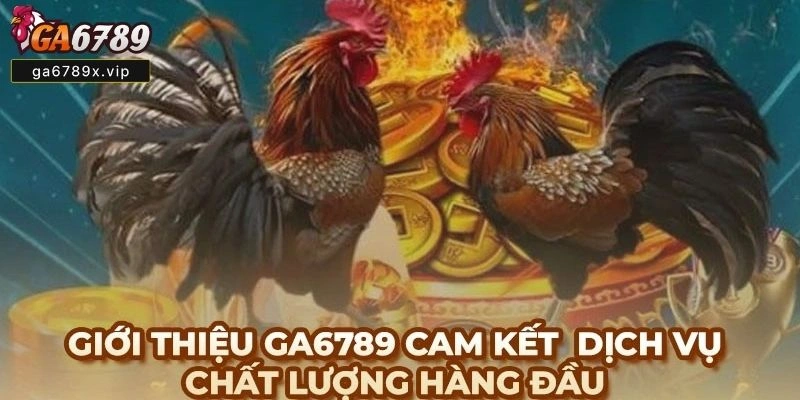 Đánh Giá Độ An Toàn Khi Chơi Ga6789 Qua Các Tiêu Chí Quan Trọng Chơi GA6789 có an toàn không